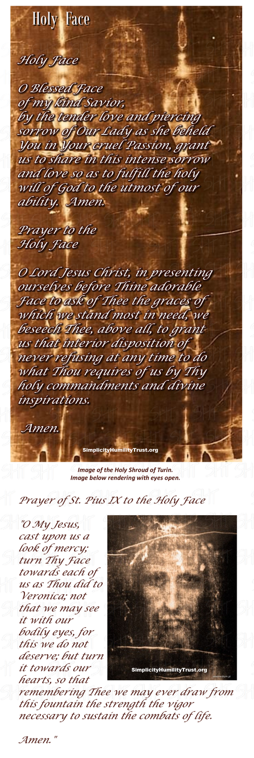 Holy Face Inspirational prayer card. Rendered image of the face of Chirst with eyes open. Prayer to the Holy Face. O Lord Jesus Christ, in presenting ourselves before Thine adorable Face to ask of Thee the graces of which we stand most in need, we beseech Thee, above all, to grant us that interior disposition of never refusing at any time to do what Thou requires of us by Thy holy commandments and divine inspirations.